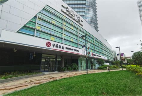 bet365官网|新跨越、新成效、新突破、新进展 中国能源转型逐“绿”而行、向“ .